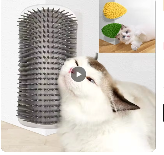 Cat rubbing its face against a corner-mounted self-grooming brush
