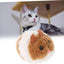 Movable Mouse Toy for Cats