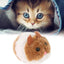 Movable Mouse Toy for Cats
