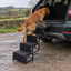 Fox-red Labrador using four-step folding dog car stairs beside a green SUV