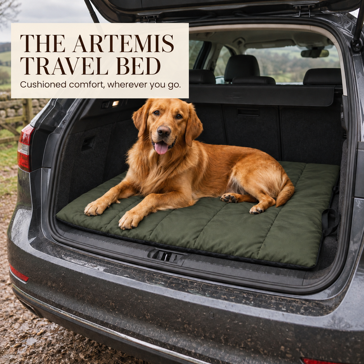 The Artemis Travel Bed with Labrador in a car boot and the message Cushioned comfort, wherever you go