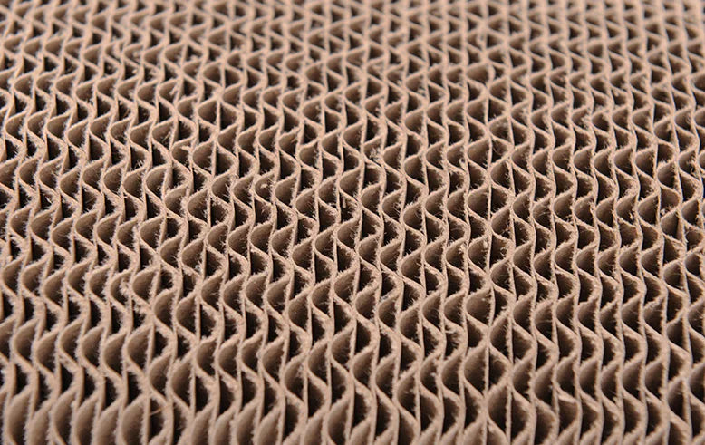 Large Cat Scratching Board with Catnip Toy